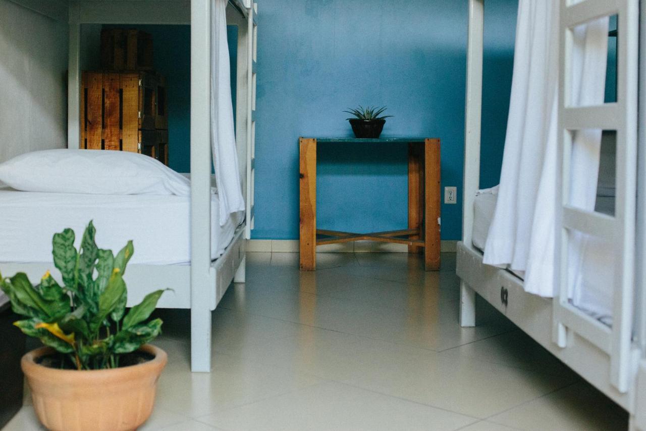 Hostel Puerto Dreams H Puerto Escondido  Zewnętrze zdjęcie
