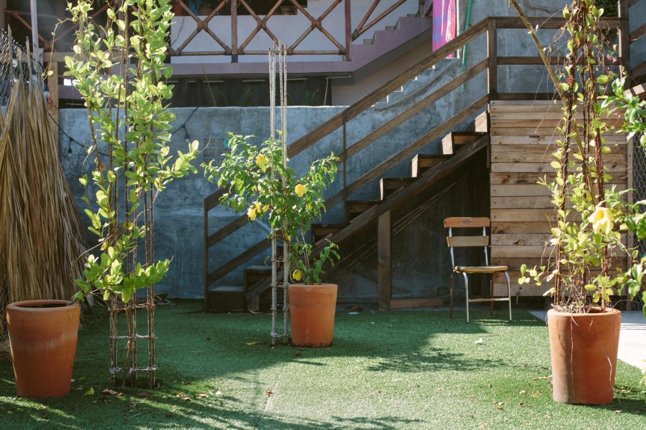 Hostel Puerto Dreams H Puerto Escondido  Zewnętrze zdjęcie